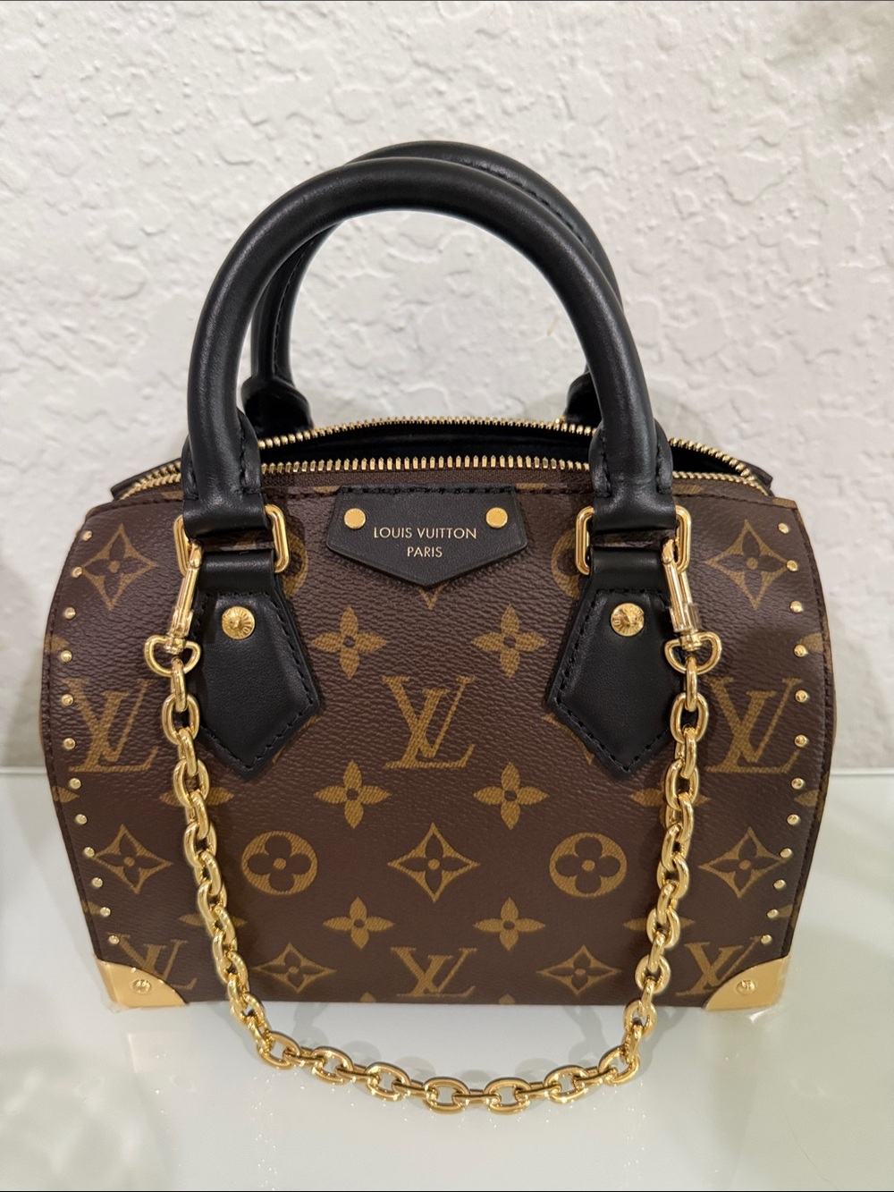 NWTS Louis Vuitton Speedy 20 Trunk